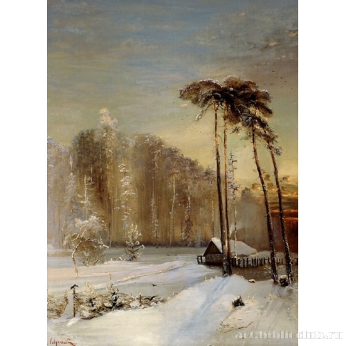 Лес в инее