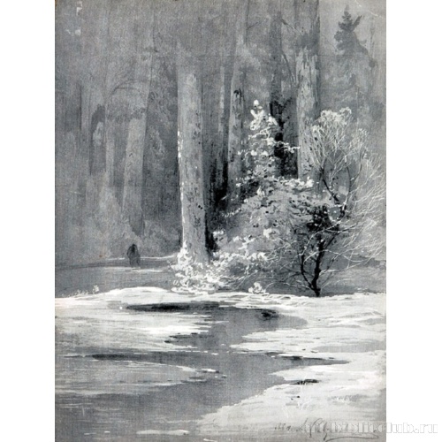 Ранняя весна. Лесная глушь