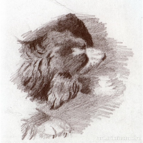 Бекас