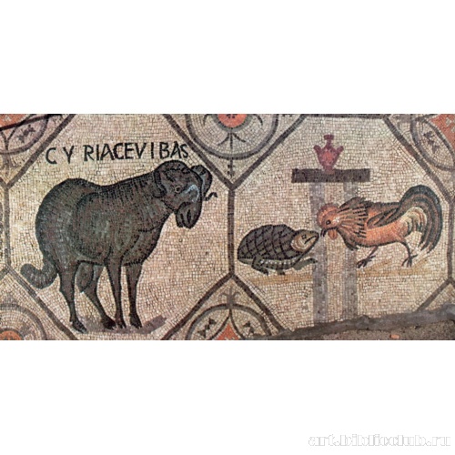 Баран, черепаха и петух. Деталь пола. Крипта