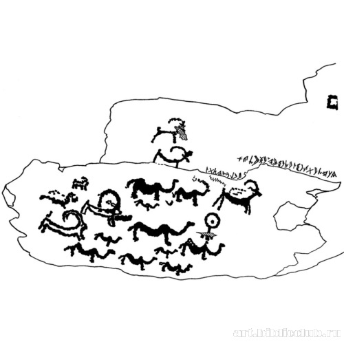 Козлы и верблюды